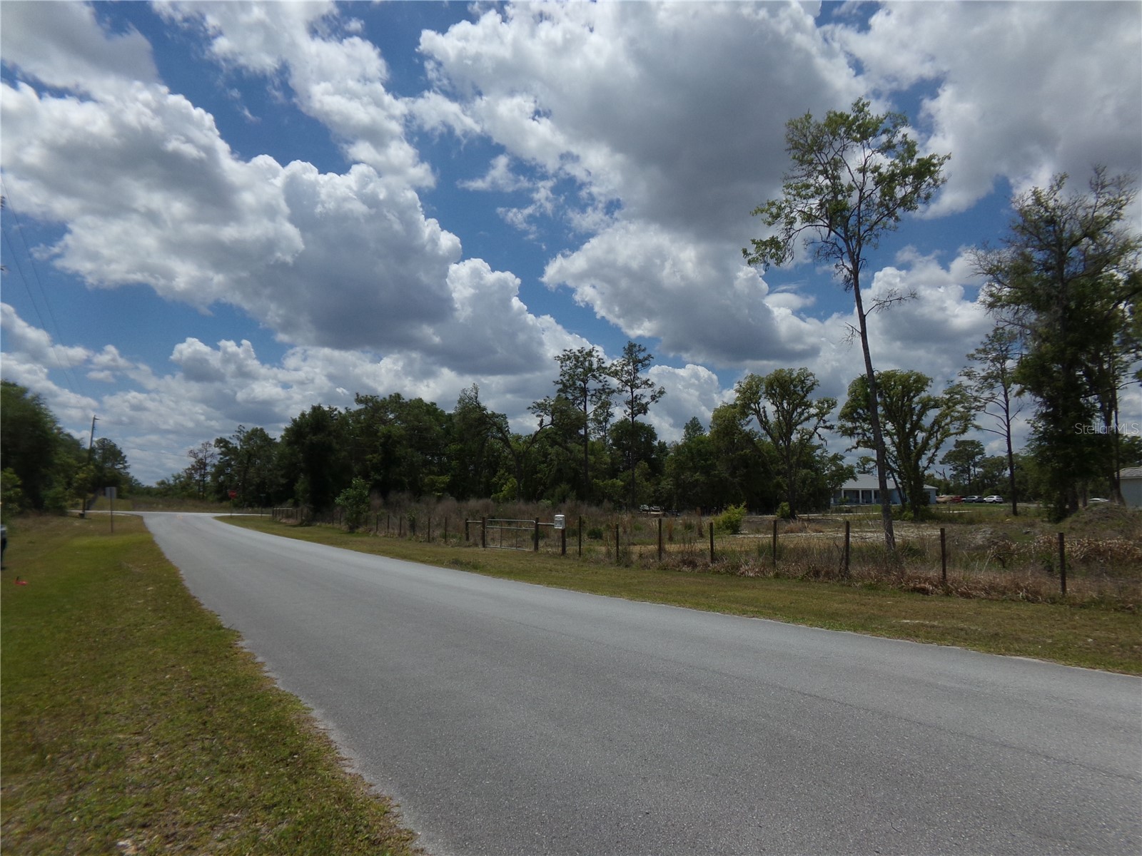 000 Norman Street Webster FL 33597 W7885152 image6