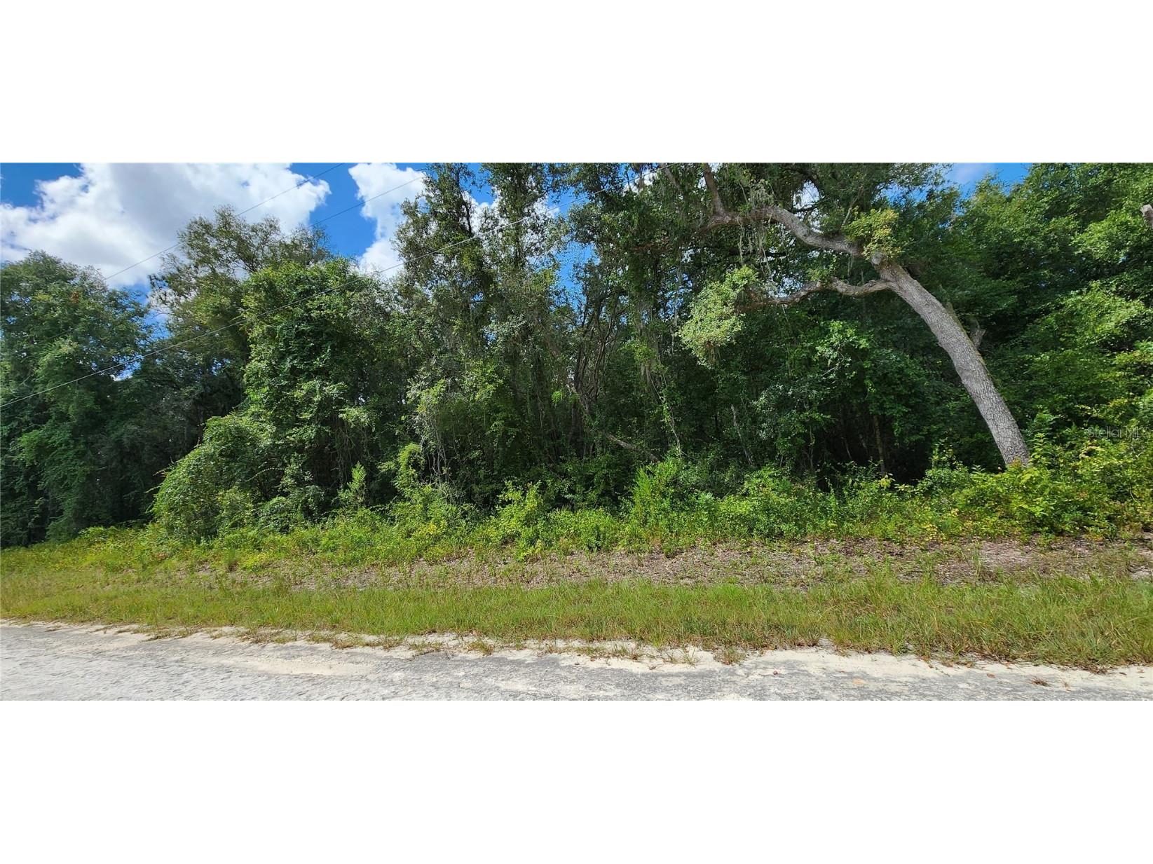 000 Northwest Avenue Webster FL 33597 W7857259 image1