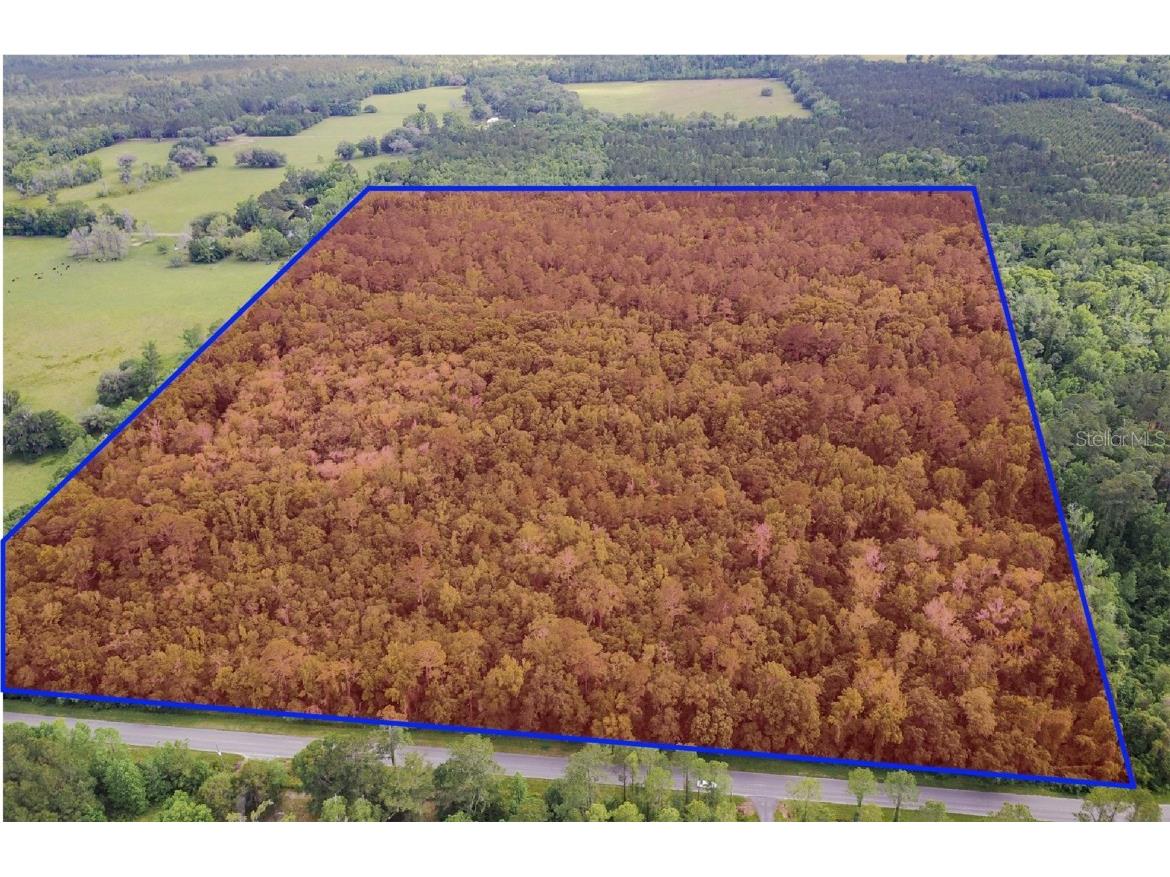 000 NW 156th Avenue Alachua FL 32615 GC521104 image1