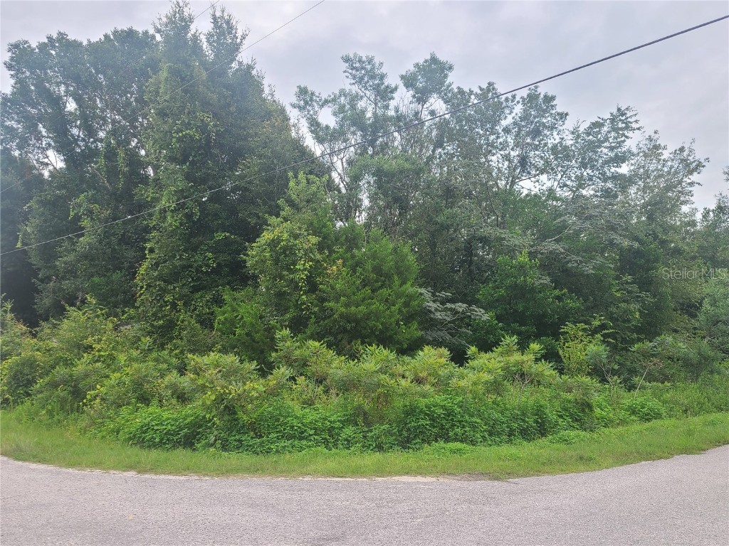 000 NW 20th Street Ocala FL 34482 OM660259 image1