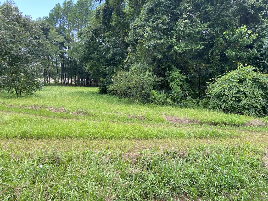000 NW 257th Terrace High Springs FL 32643 GC507739 image1