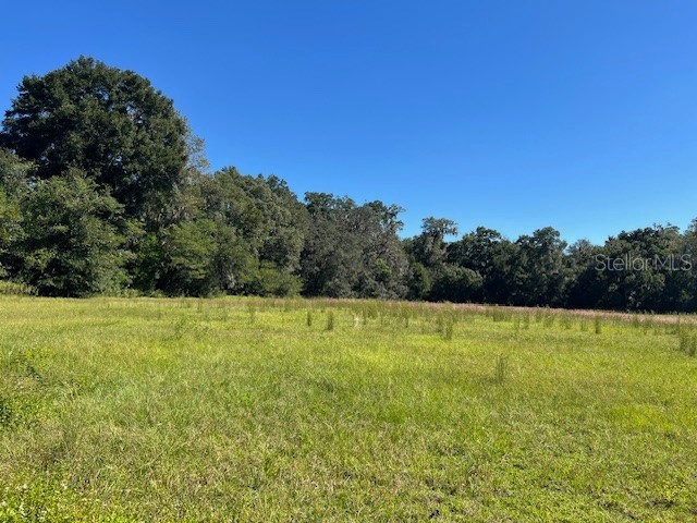 000 NW 27th Avenue Citra FL 32113 OM723986 image4