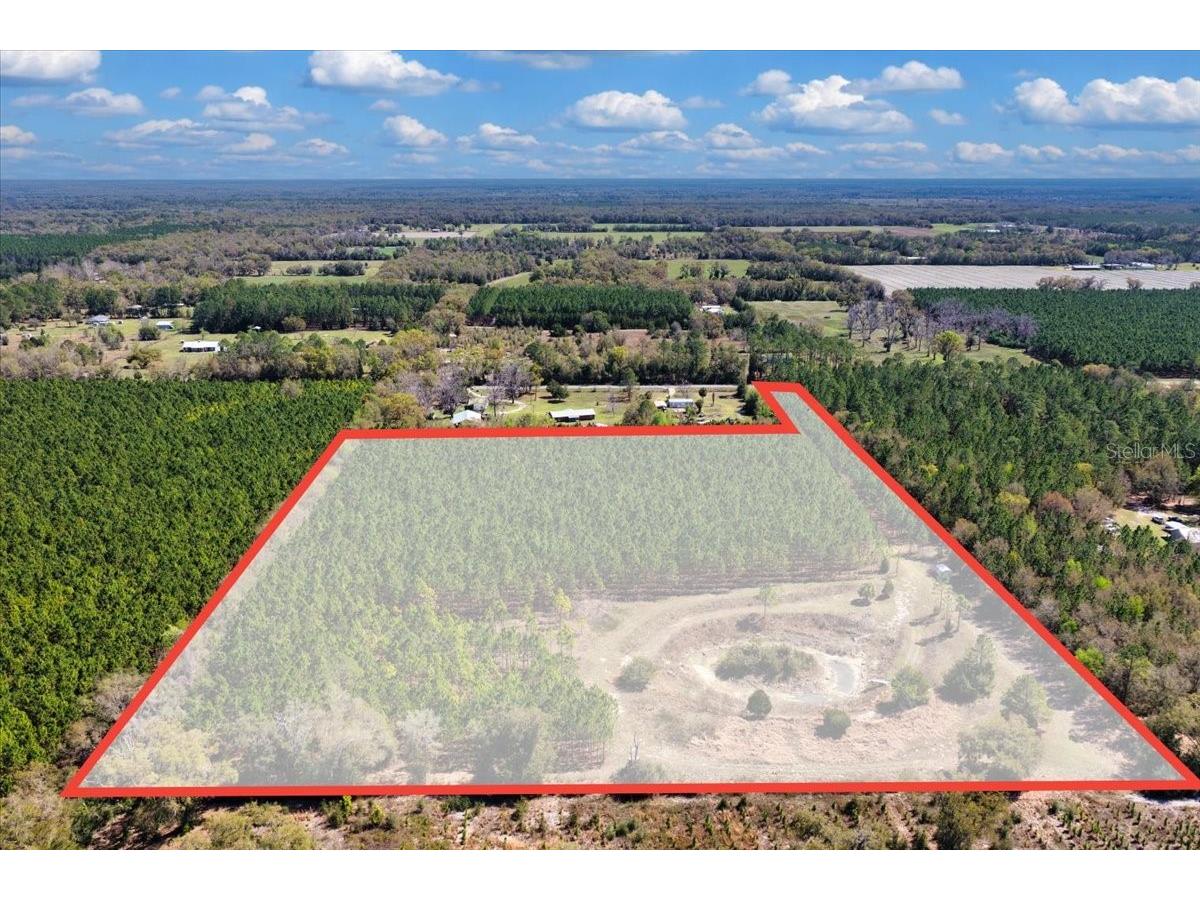 000 NW 60th Ave Chiefland FL 32626 GC538071 image1