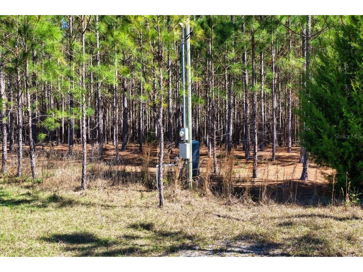 000 NW 60th Ave Chiefland FL 32626 GC538071 image11
