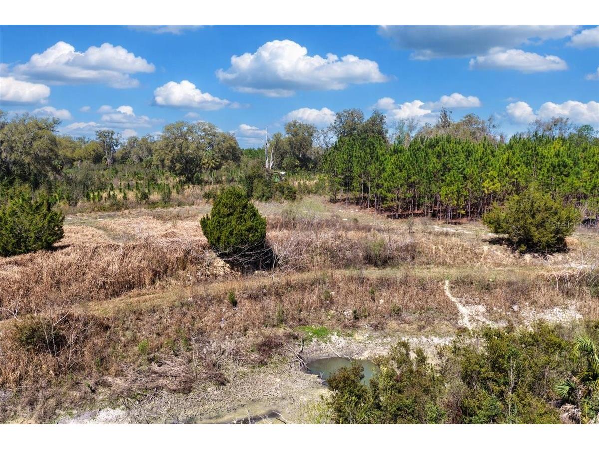 000 NW 60th Ave Chiefland FL 32626 GC538071 image14