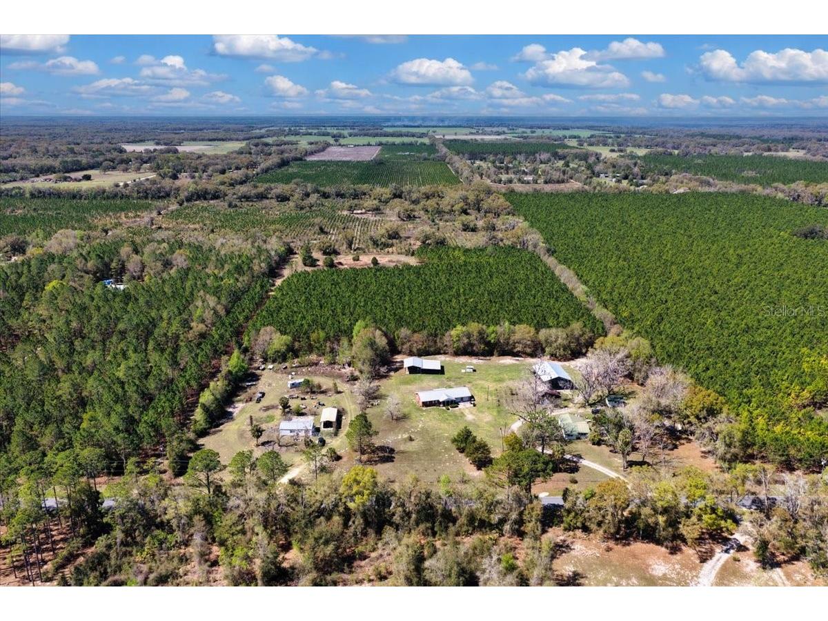 000 NW 60th Ave Chiefland FL 32626 GC538071 image16