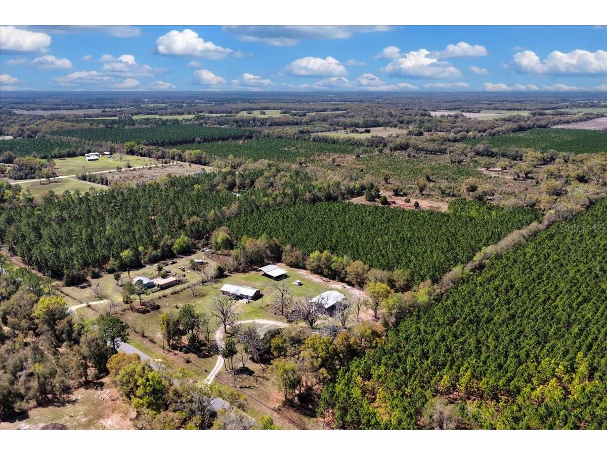 000 NW 60th Ave Chiefland FL 32626 GC538071 image17