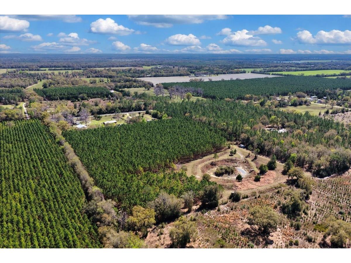 000 NW 60th Ave Chiefland FL 32626 GC538071 image18