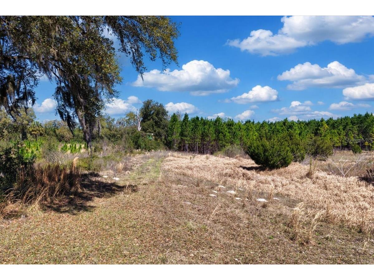 000 NW 60th Ave Chiefland FL 32626 GC538071 image3