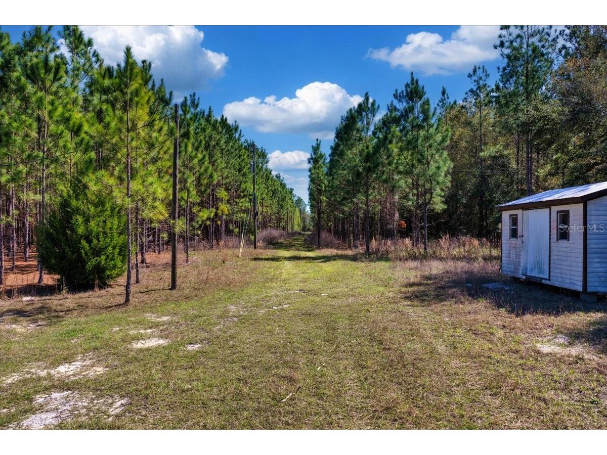 000 NW 60th Ave Chiefland FL 32626 GC538071 image5