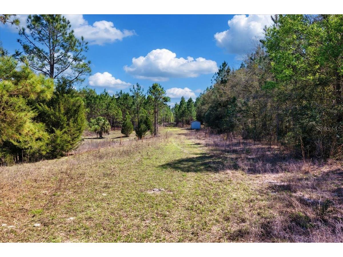 000 NW 60th Ave Chiefland FL 32626 GC538071 image6