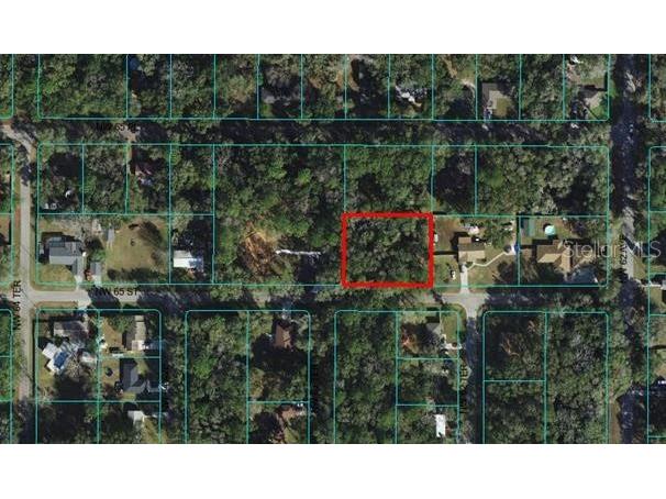 000 NW 65th Street Ocala FL 34482 OM666475 image1