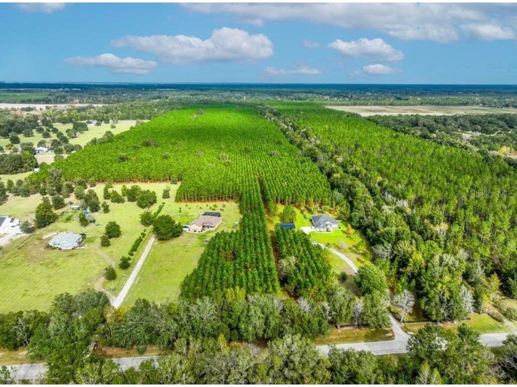 000 NW 78th Avenue Newberry FL 32669 GC535526 image11