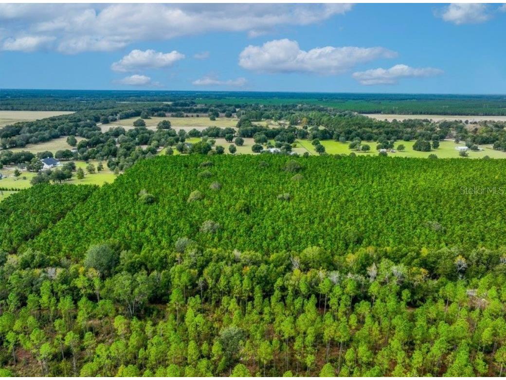 000 NW 78th Avenue Newberry FL 32669 GC535526 image12