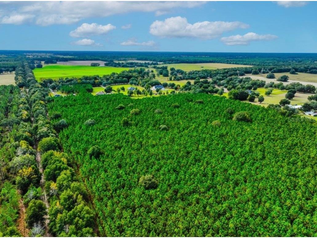 000 NW 78th Avenue Newberry FL 32669 GC535526 image13