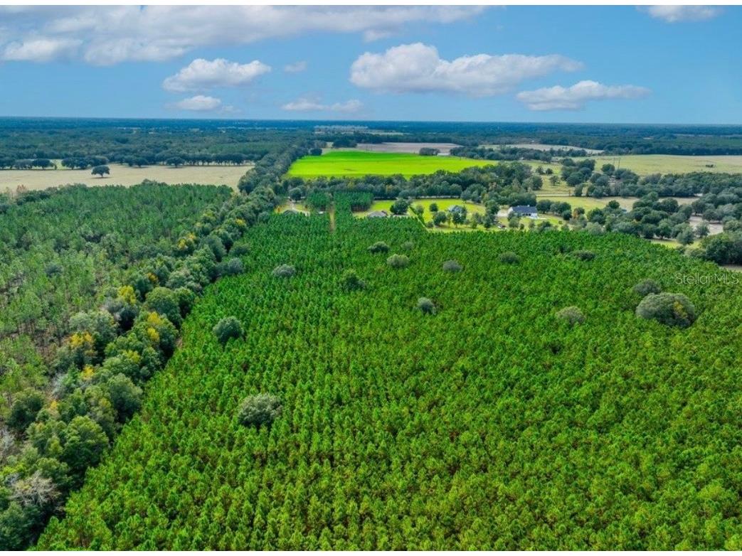 000 NW 78th Avenue Newberry FL 32669 GC535526 image14