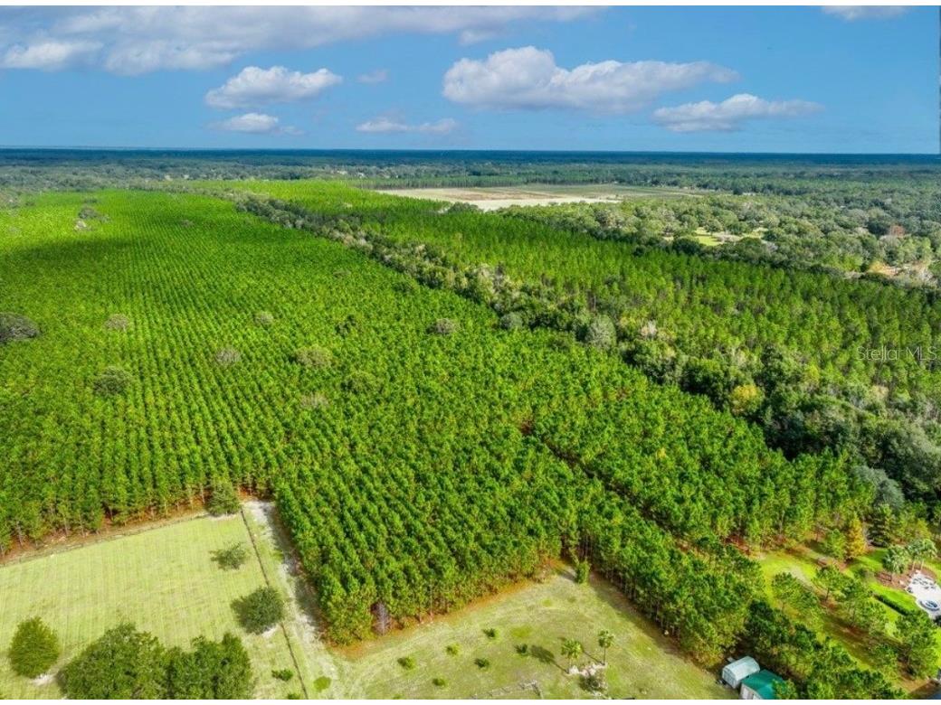 000 NW 78th Avenue Newberry FL 32669 GC535526 image16