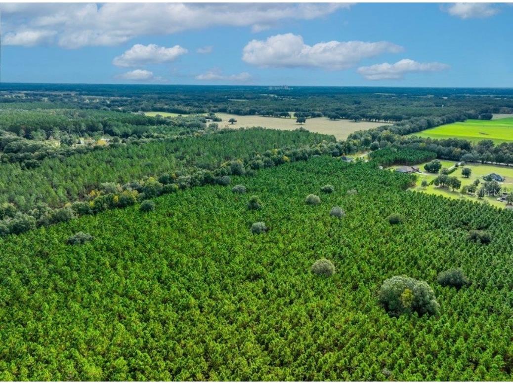 000 NW 78th Avenue Newberry FL 32669 GC535526 image17