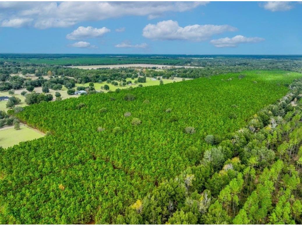 000 NW 78th Avenue Newberry FL 32669 GC535526 image18