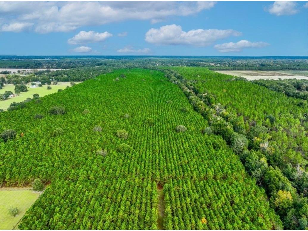 000 NW 78th Avenue Newberry FL 32669 GC535526 image19