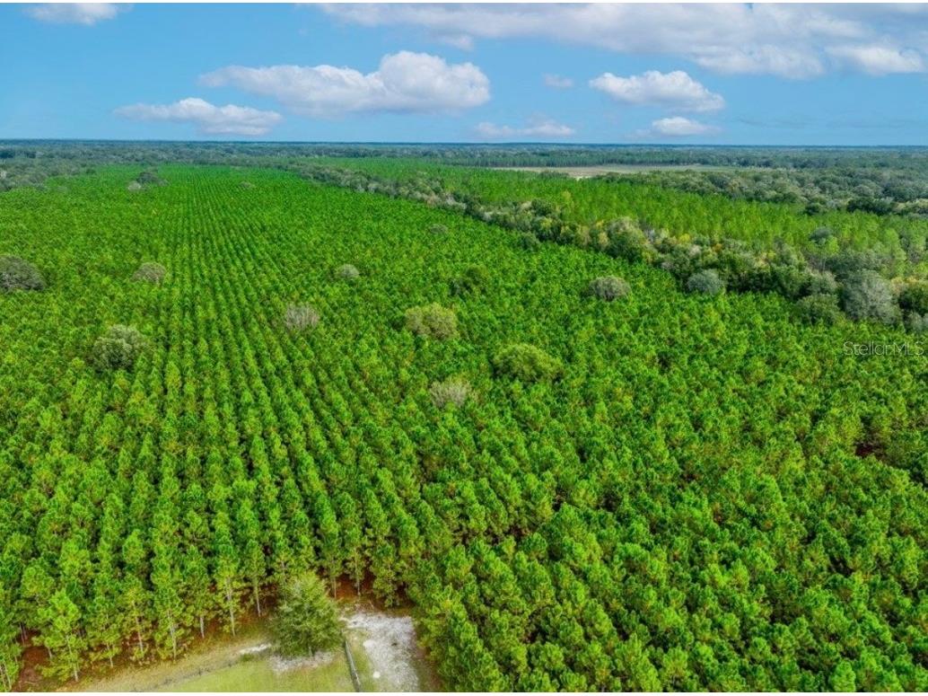 000 NW 78th Avenue Newberry FL 32669 GC535526 image20