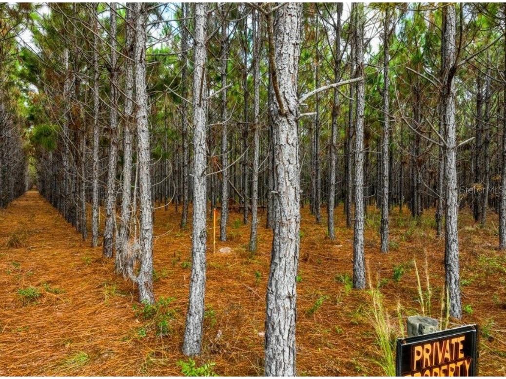 000 NW 78th Avenue Newberry FL 32669 GC535526 image22