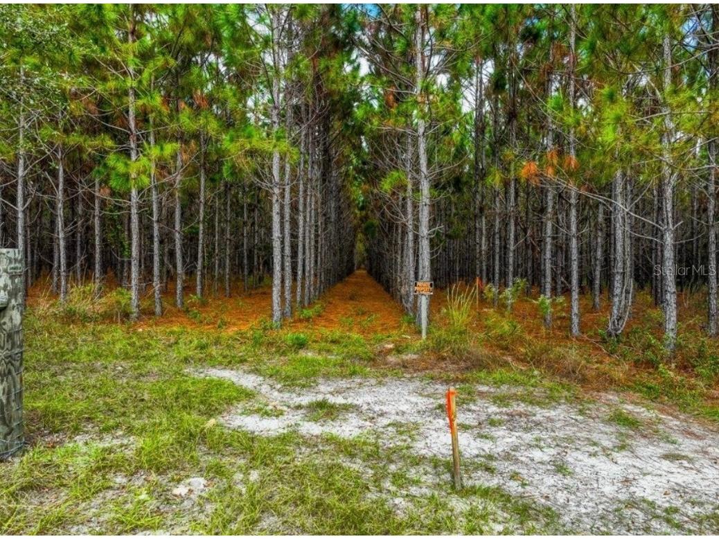 000 NW 78th Avenue Newberry FL 32669 GC535526 image23