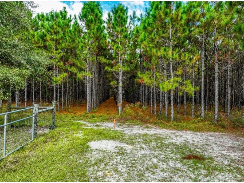 000 NW 78th Avenue Newberry FL 32669 GC535526 image24