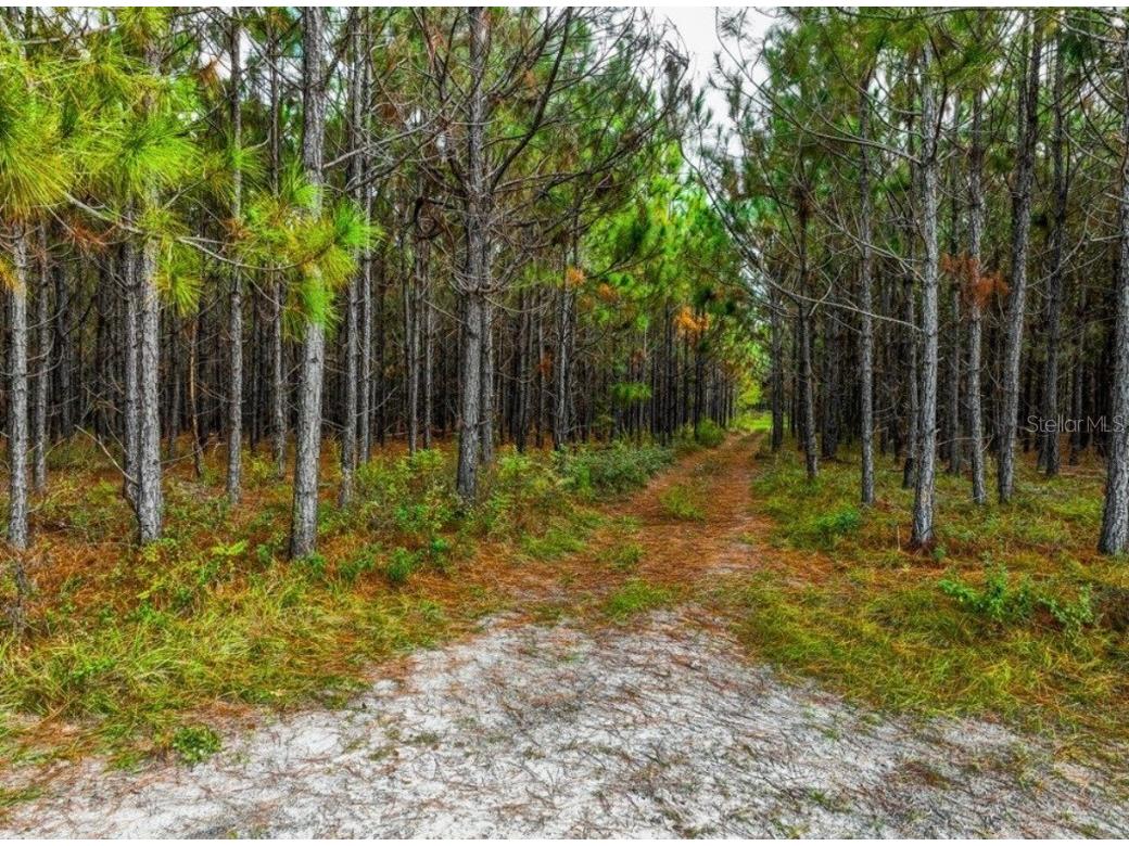 000 NW 78th Avenue Newberry FL 32669 GC535526 image26