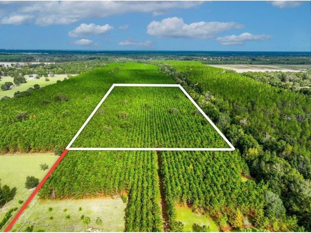 000 NW 78th Avenue Newberry FL 32669 GC535526 image3