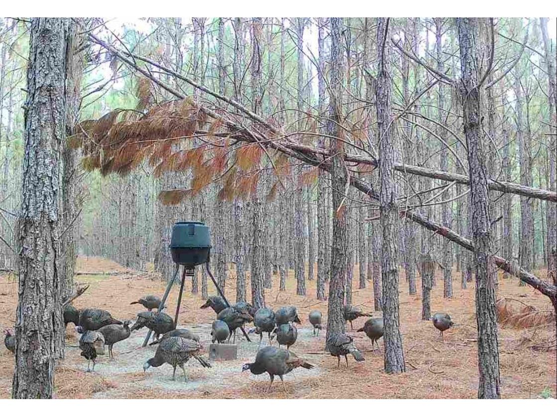 000 NW 78th Avenue Newberry FL 32669 GC535526 image31