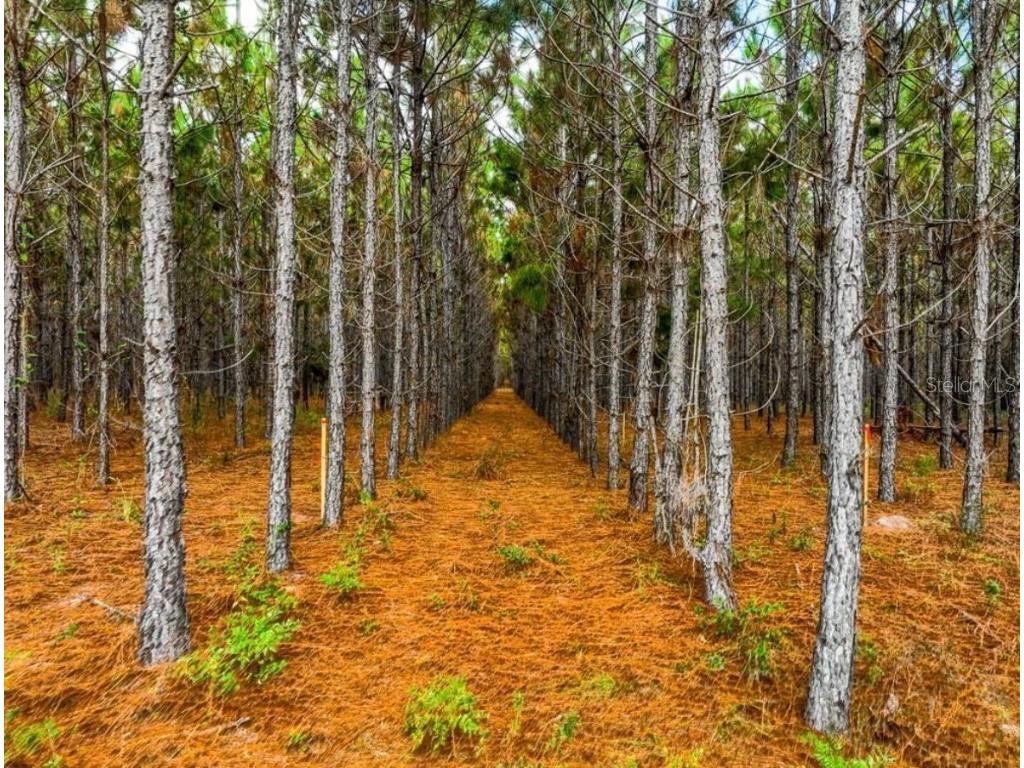 000 NW 78th Avenue Newberry FL 32669 GC535526 image4