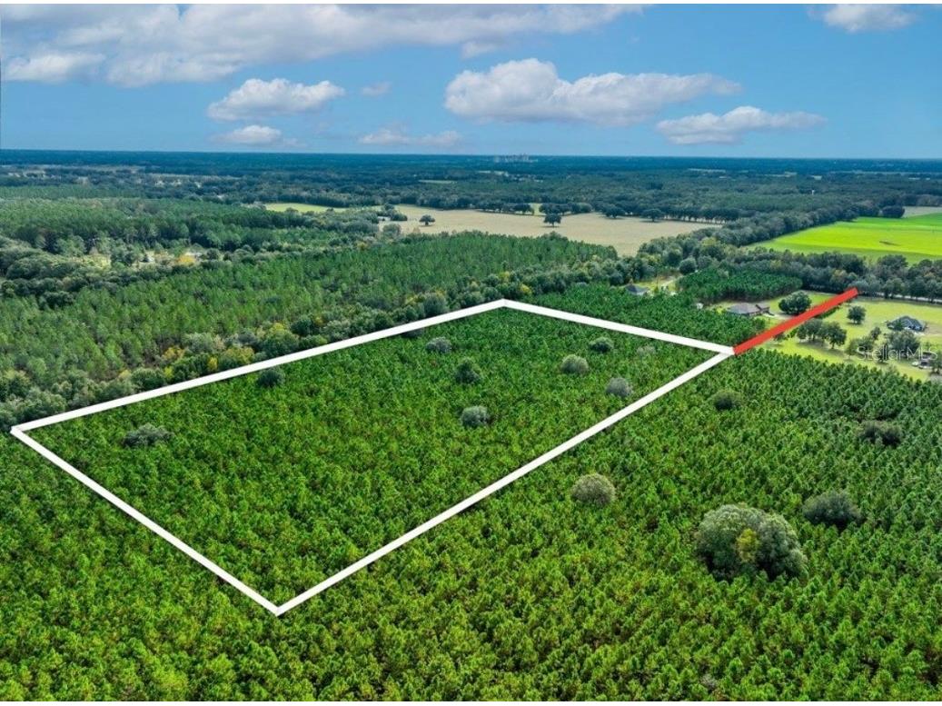 000 NW 78th Avenue Newberry FL 32669 GC535526 image7