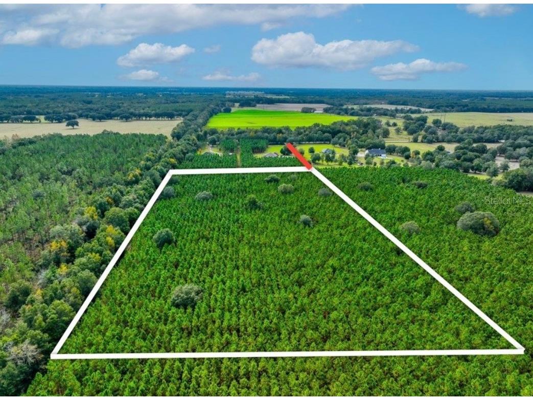 000 NW 78th Avenue Newberry FL 32669 GC535526 image9