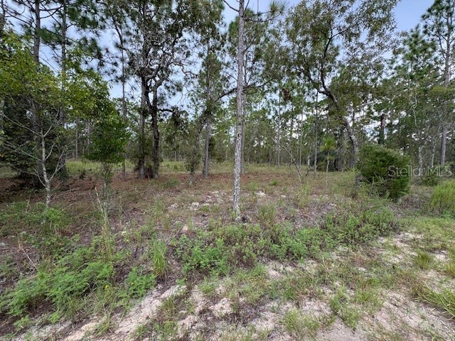 000 NW Columbine Avenue Dunnellon FL 34431 G5086191 image1