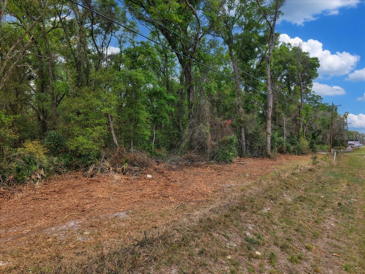 000 NW Us Hwy 19 Fanning Springs FL 32693 GC539257 image15