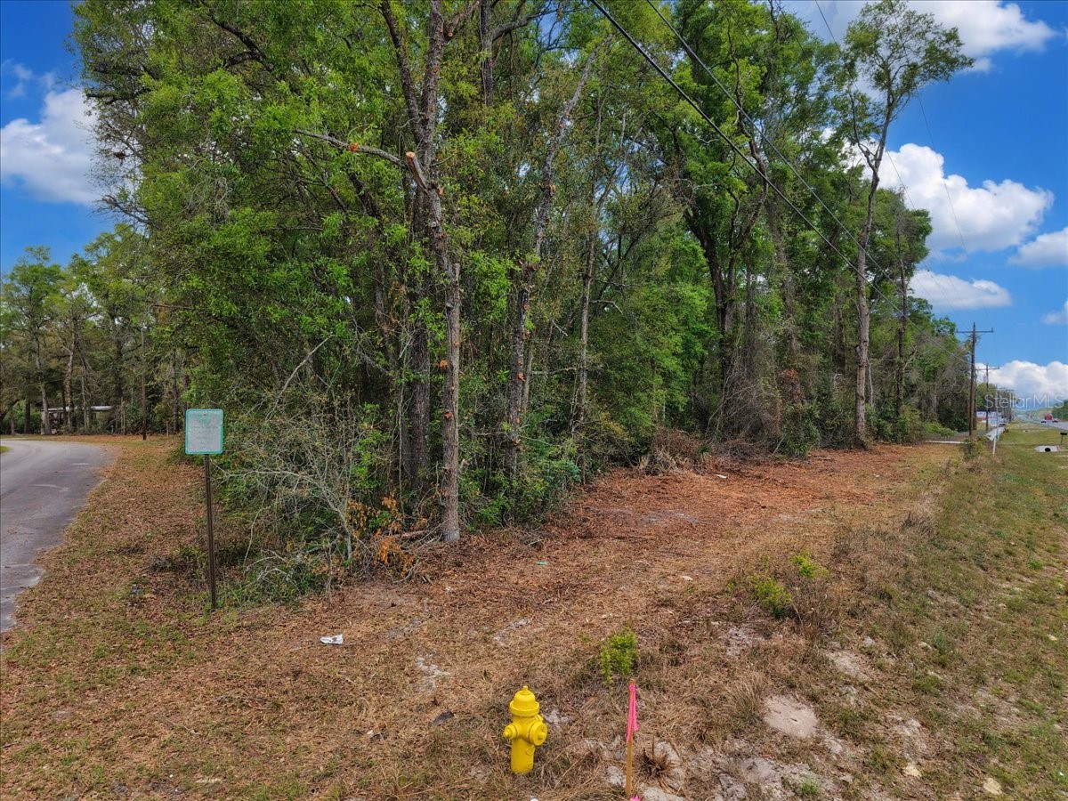 000 NW Us Hwy 19 Fanning Springs FL 32693 GC539257 image16