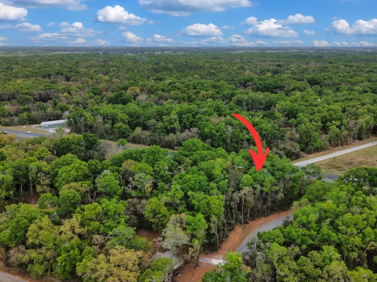000 NW Us Hwy 19 Fanning Springs FL 32693 GC539257 image7
