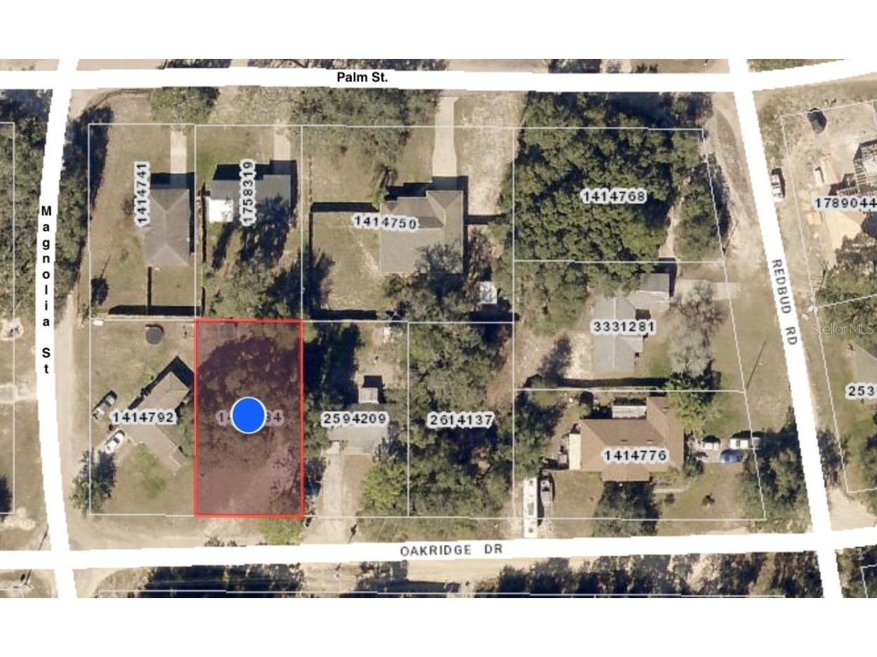 000 Oakridge Drive Lady Lake FL 32159 G5063817 image1