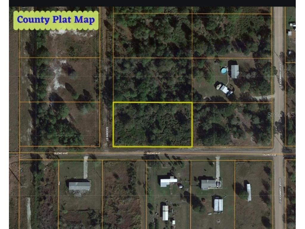 000 Oleno Avenue Lake Wales FL 33859 OM677540 image1