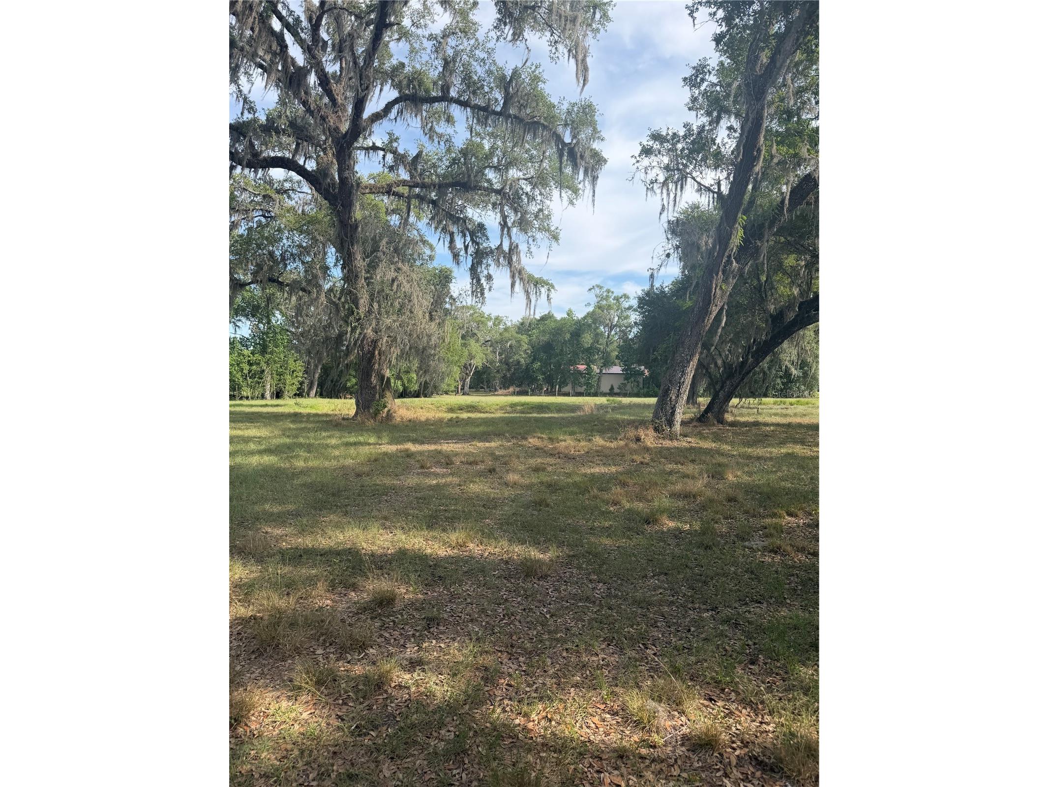 000 Palomino Lakes Dr Dade City FL 33523 TB8504791 image1