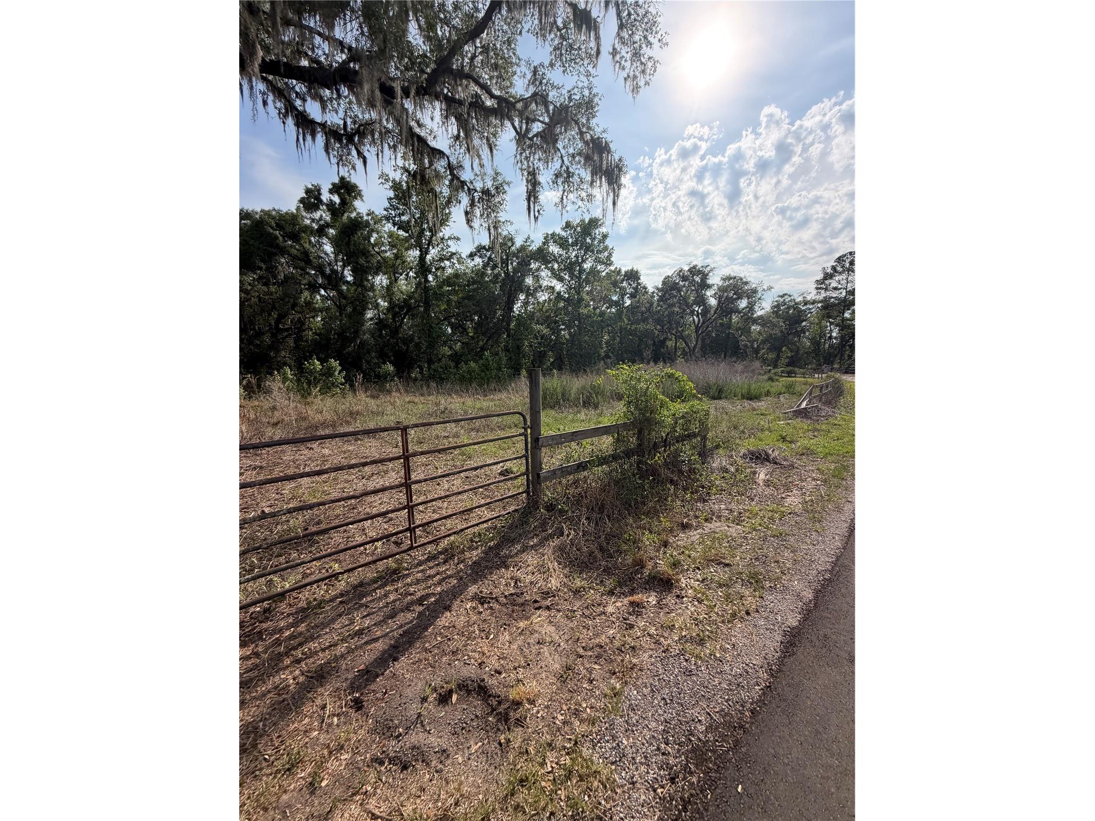 000 Palomino Lakes Dr Dade City FL 33523 TB8504791 image11
