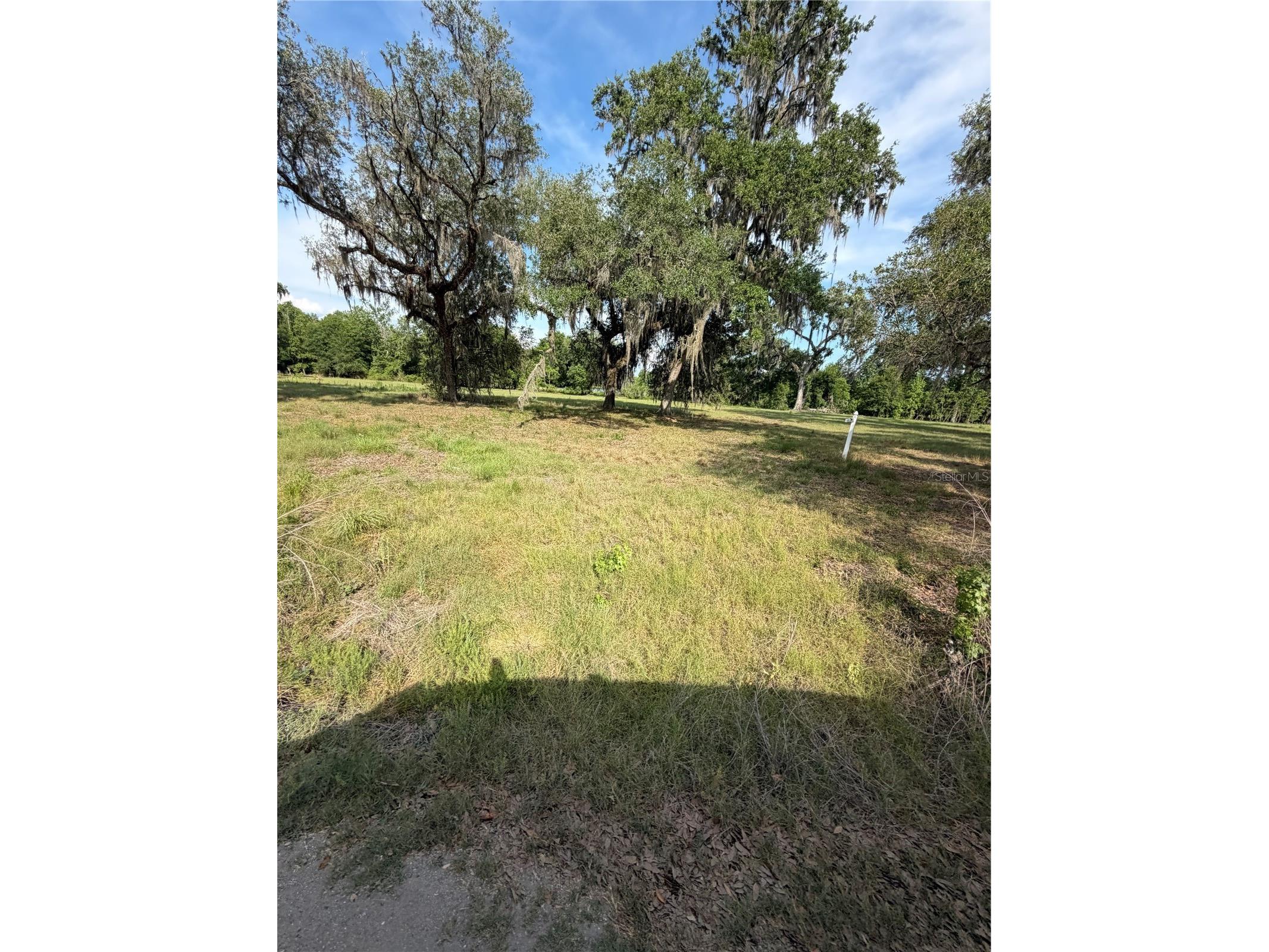 000 Palomino Lakes Dr Dade City FL 33523 TB8504791 image12