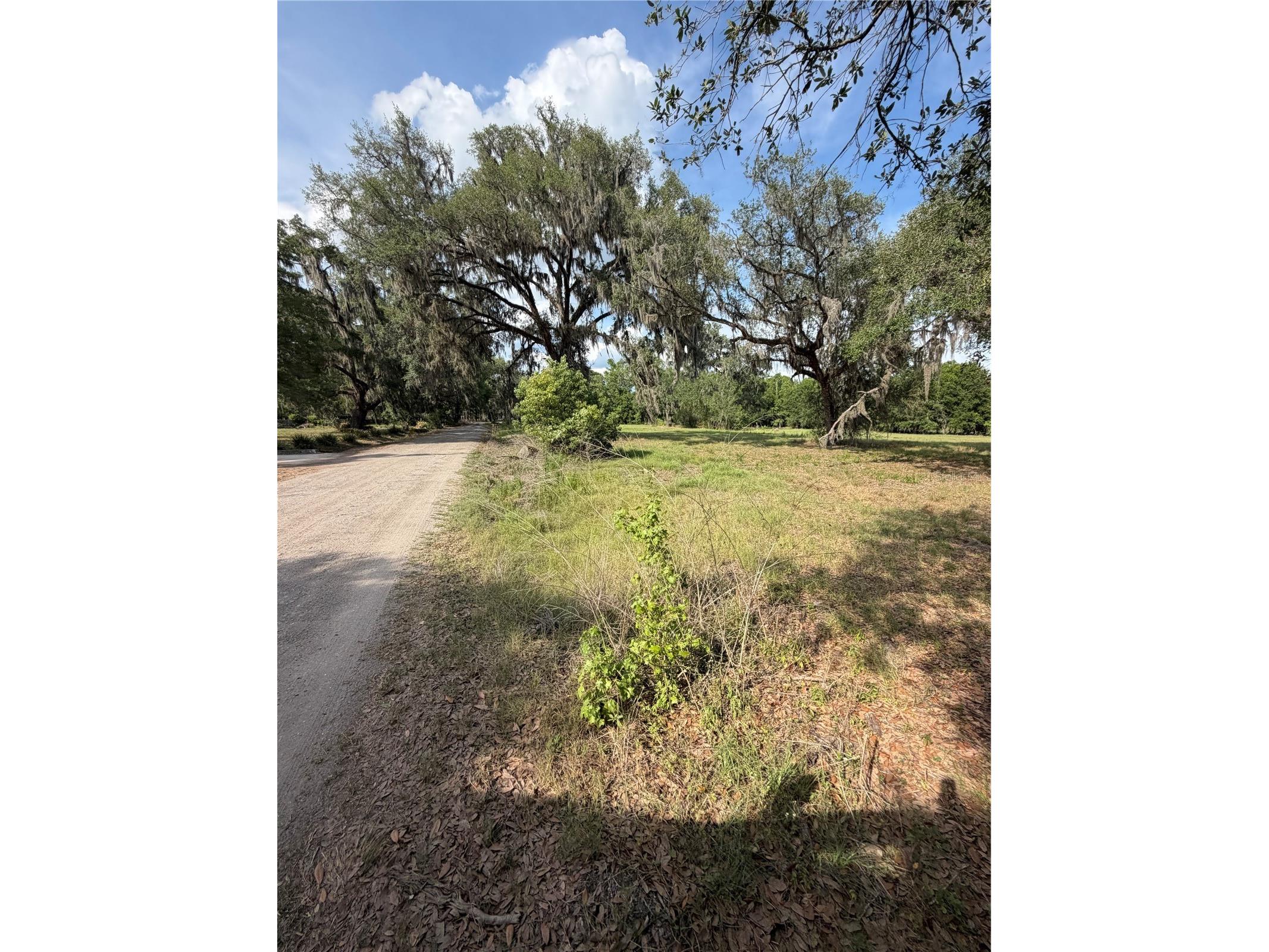 000 Palomino Lakes Dr Dade City FL 33523 TB8504791 image13