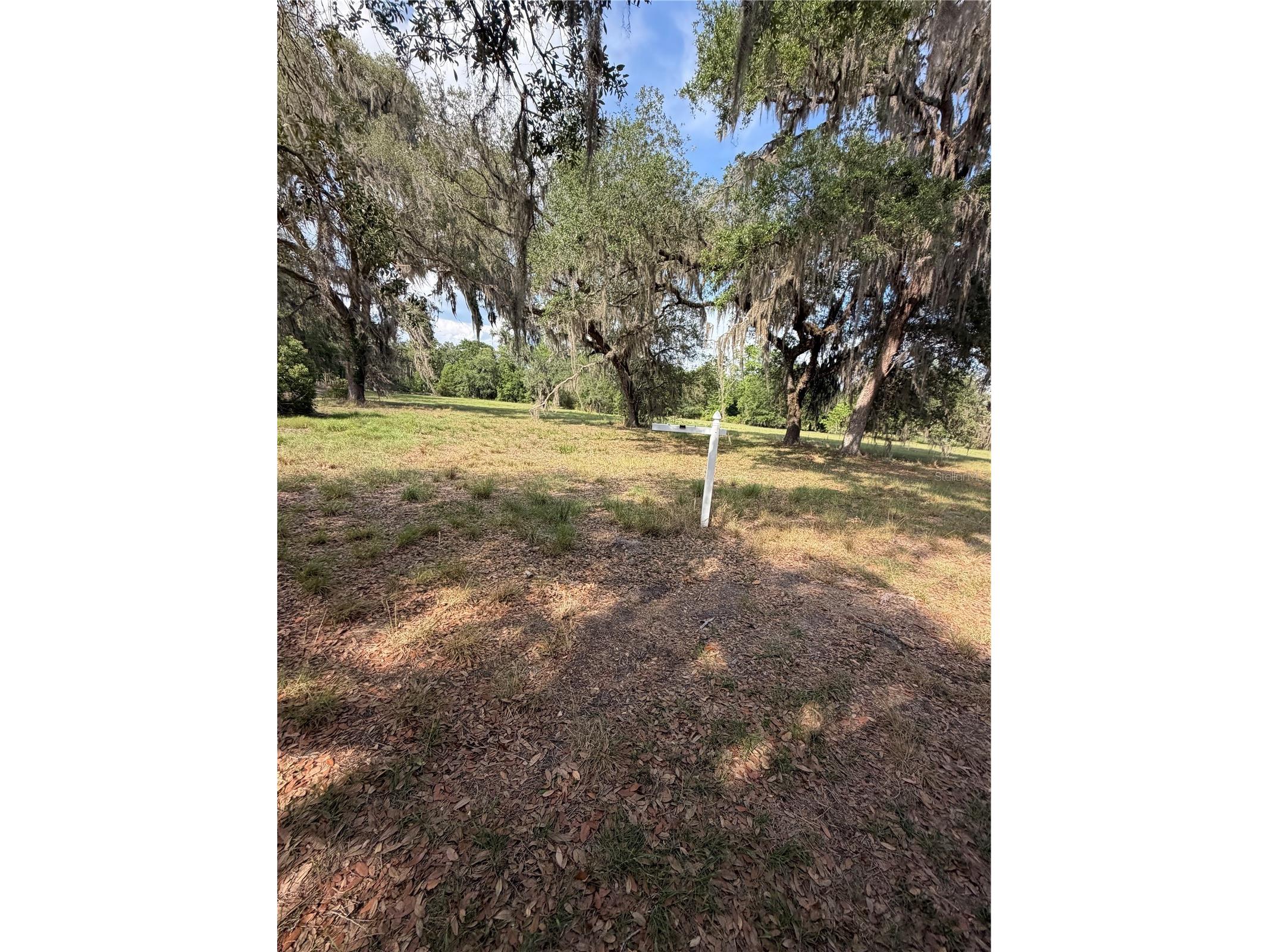 000 Palomino Lakes Dr Dade City FL 33523 TB8504791 image14
