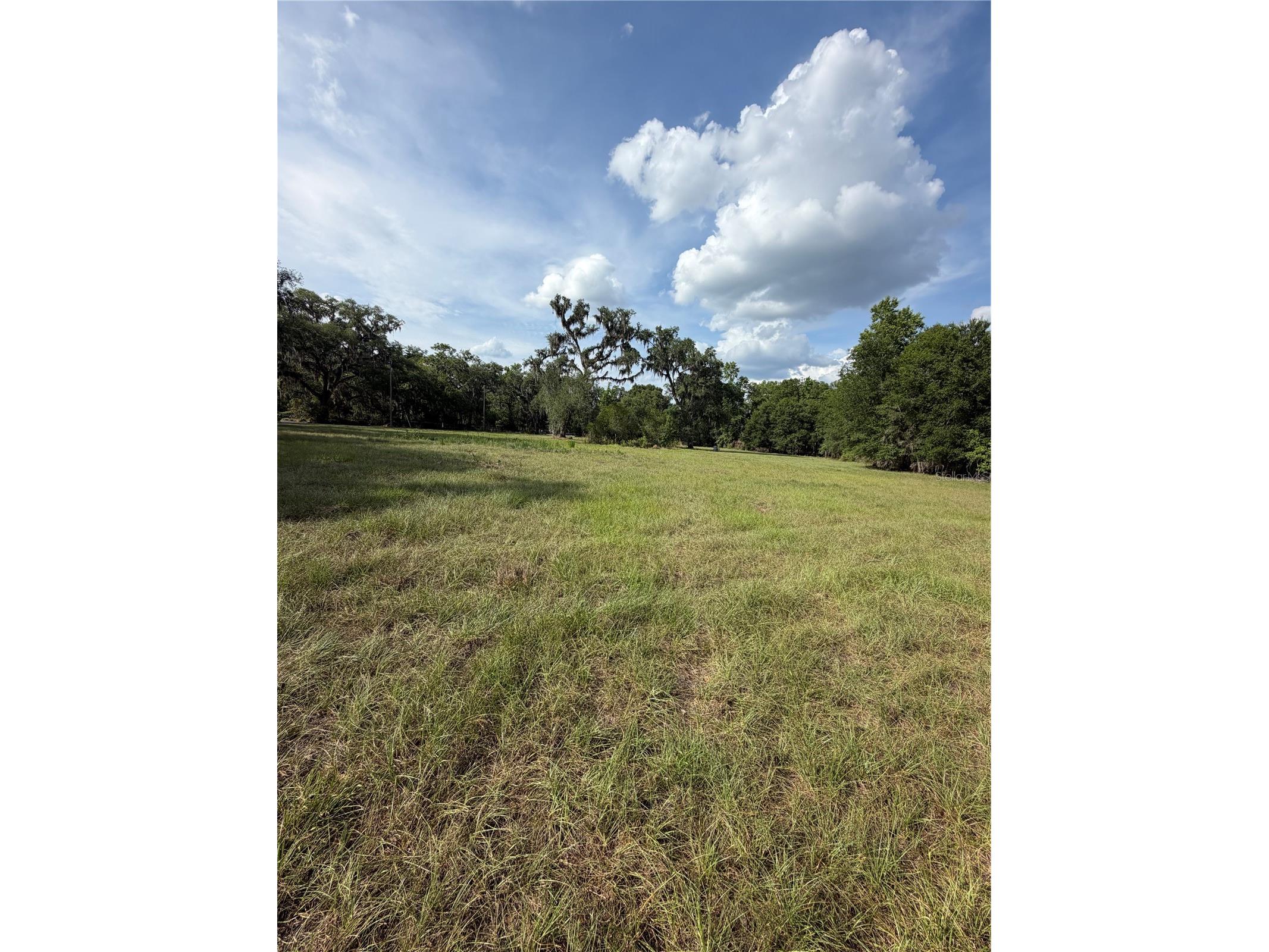 000 Palomino Lakes Dr Dade City FL 33523 TB8504791 image15