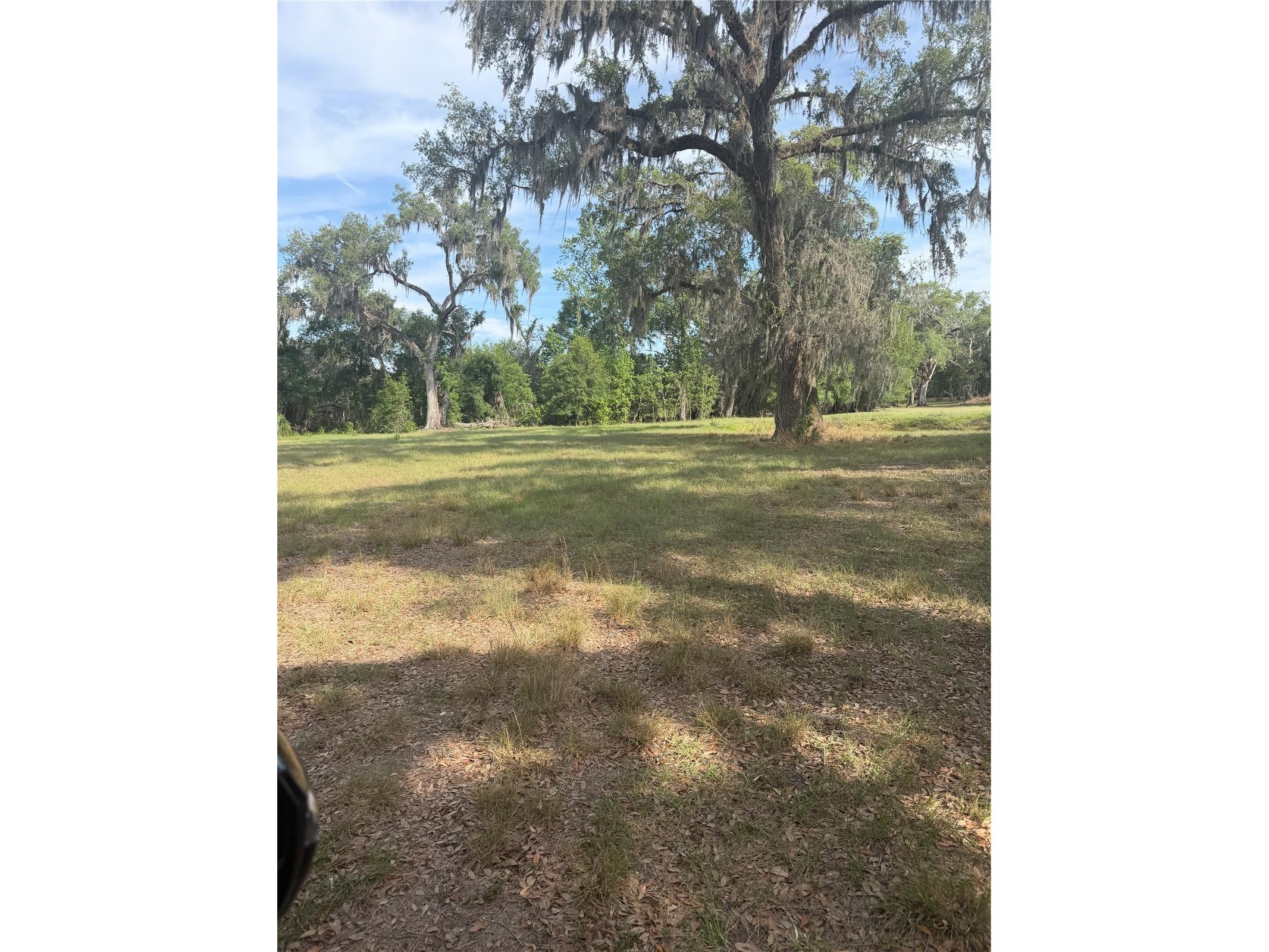 000 Palomino Lakes Dr Dade City FL 33523 TB8504791 image16