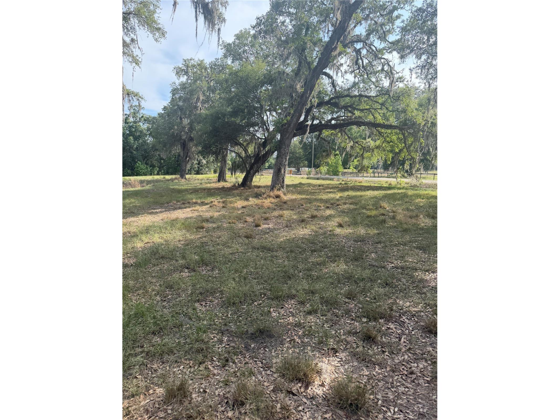 000 Palomino Lakes Dr Dade City FL 33523 TB8504791 image17