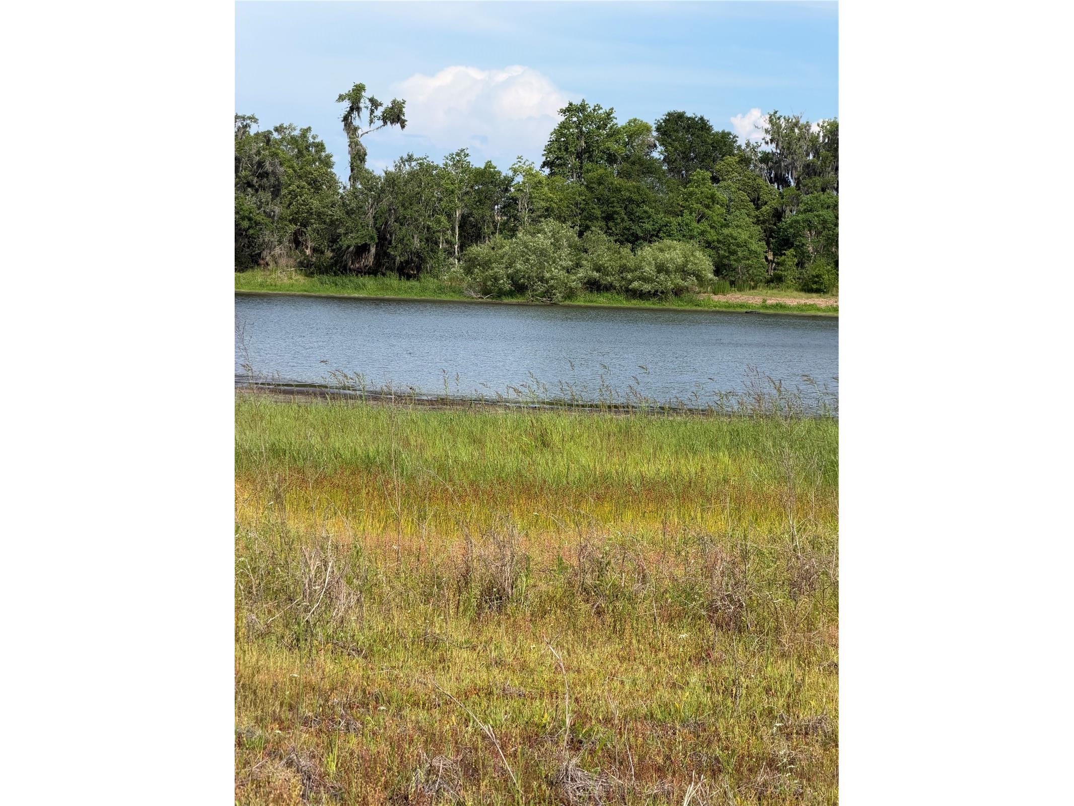 000 Palomino Lakes Dr Dade City FL 33523 TB8504791 image18