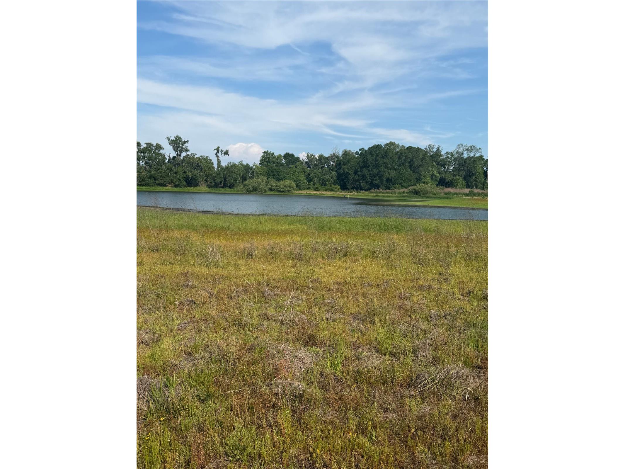 000 Palomino Lakes Dr Dade City FL 33523 TB8504791 image19